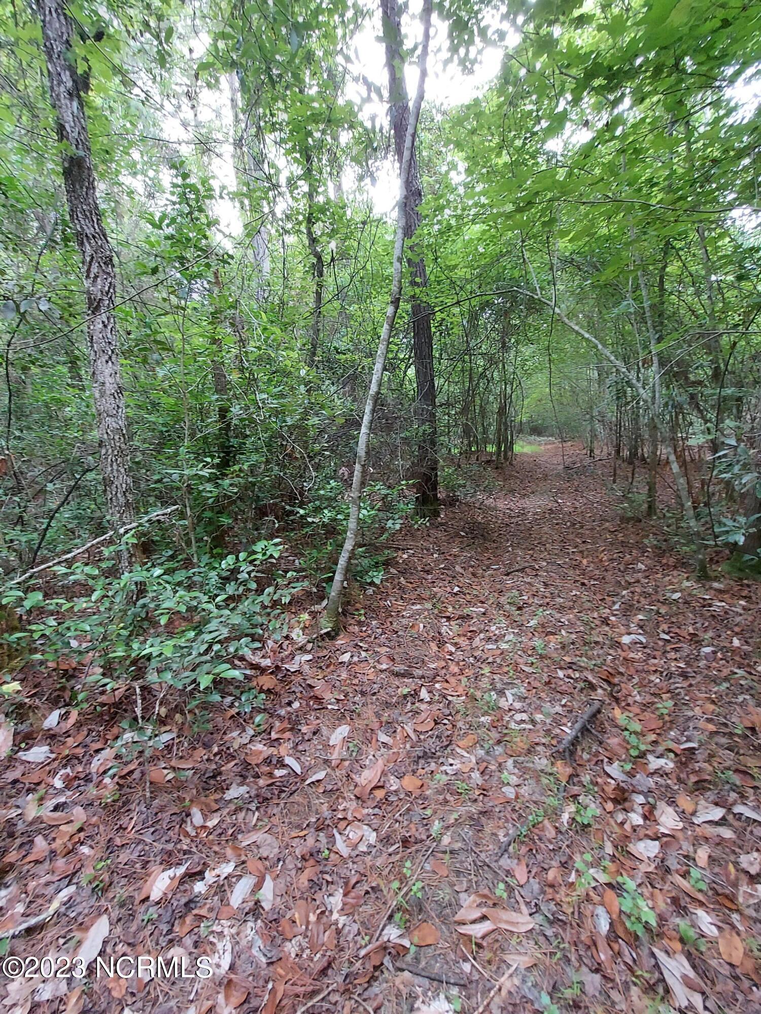 Lot 4 Oak Haven Road Atkinson, NC 28421 - Photo 14 of 17 20220630_182754