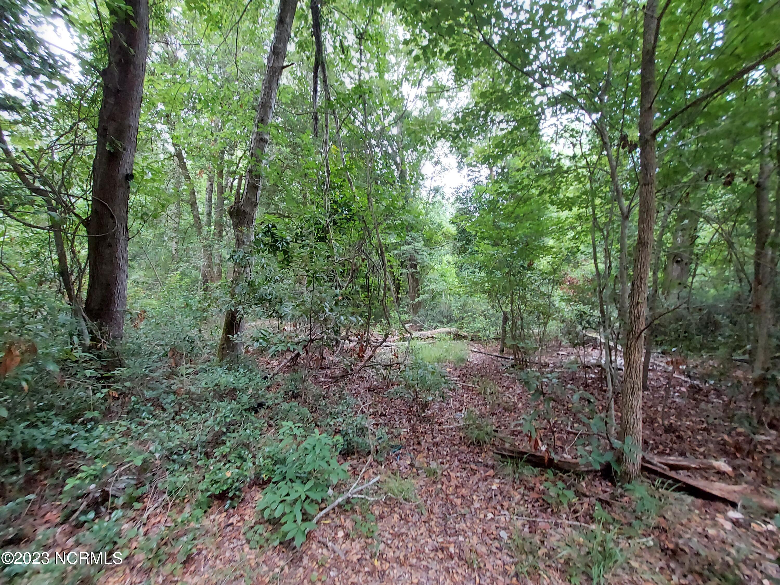 Lot 4 Oak Haven Road Atkinson, NC 28421 - Photo 15 of 17 20220630_181712