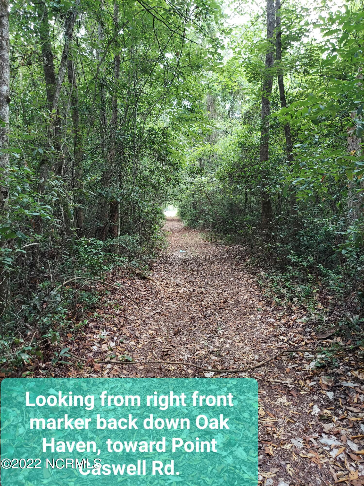 Lot 4 Oak Haven Road Atkinson, NC 28421 - Photo 10 of 17 20220701_235447