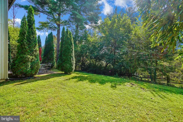 a view of a backyard with a plants
