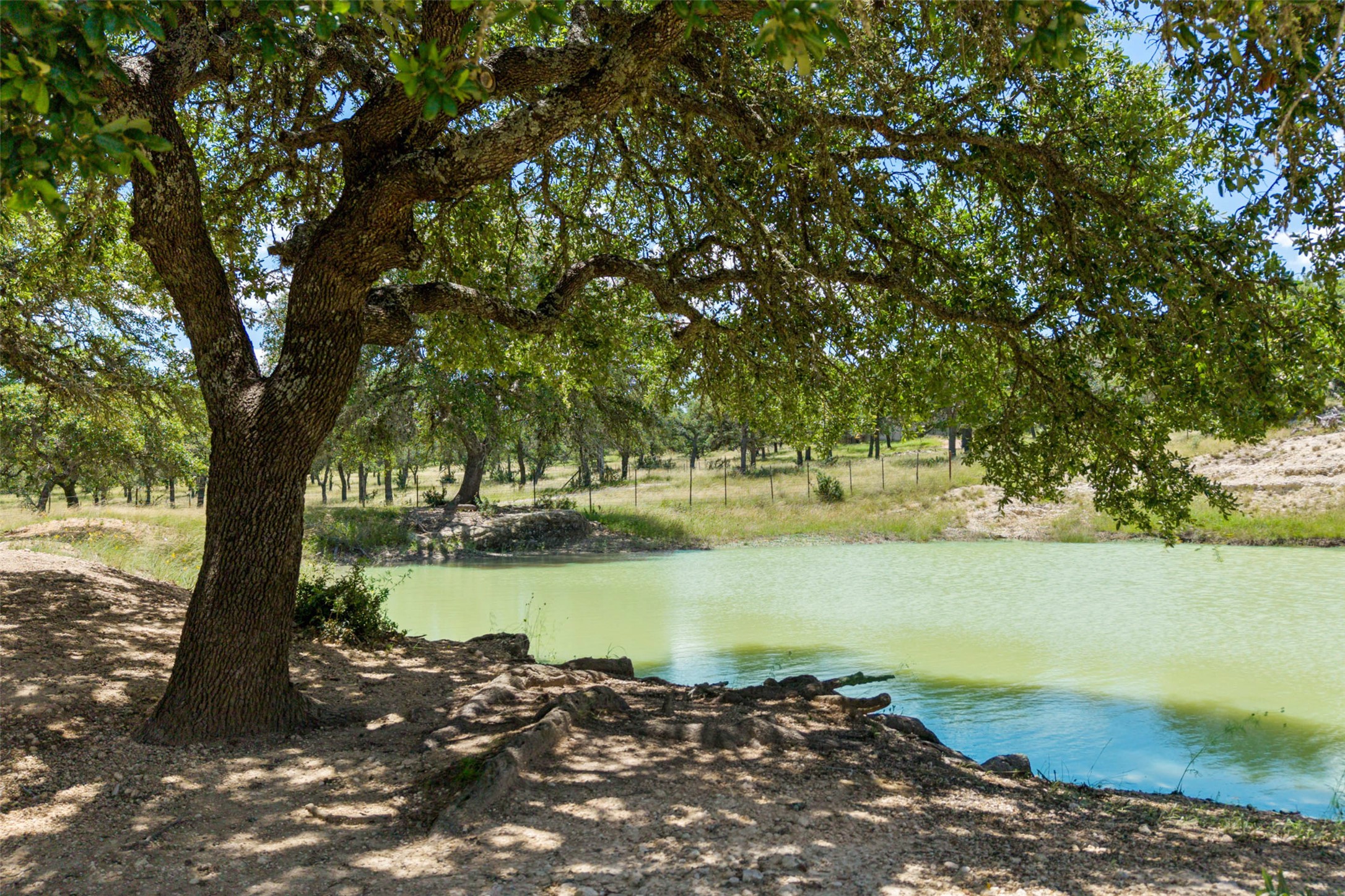 5032 Kendalia Road Blanco, TX 78606 - Photo 2 of 40 a view of a lake with a tree