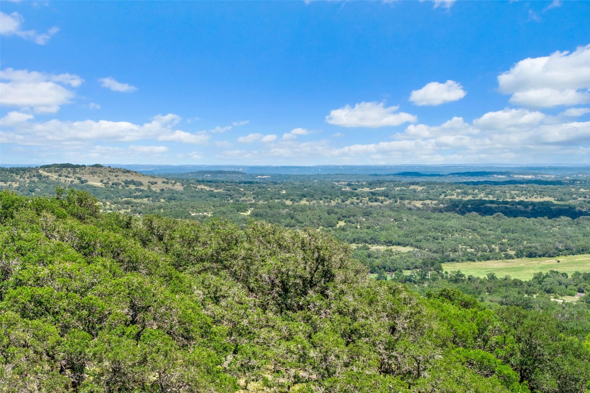 5434 Kendalia Road Blanco, TX 78606 - Photo 21 of 40 a view of a city with lush green forest