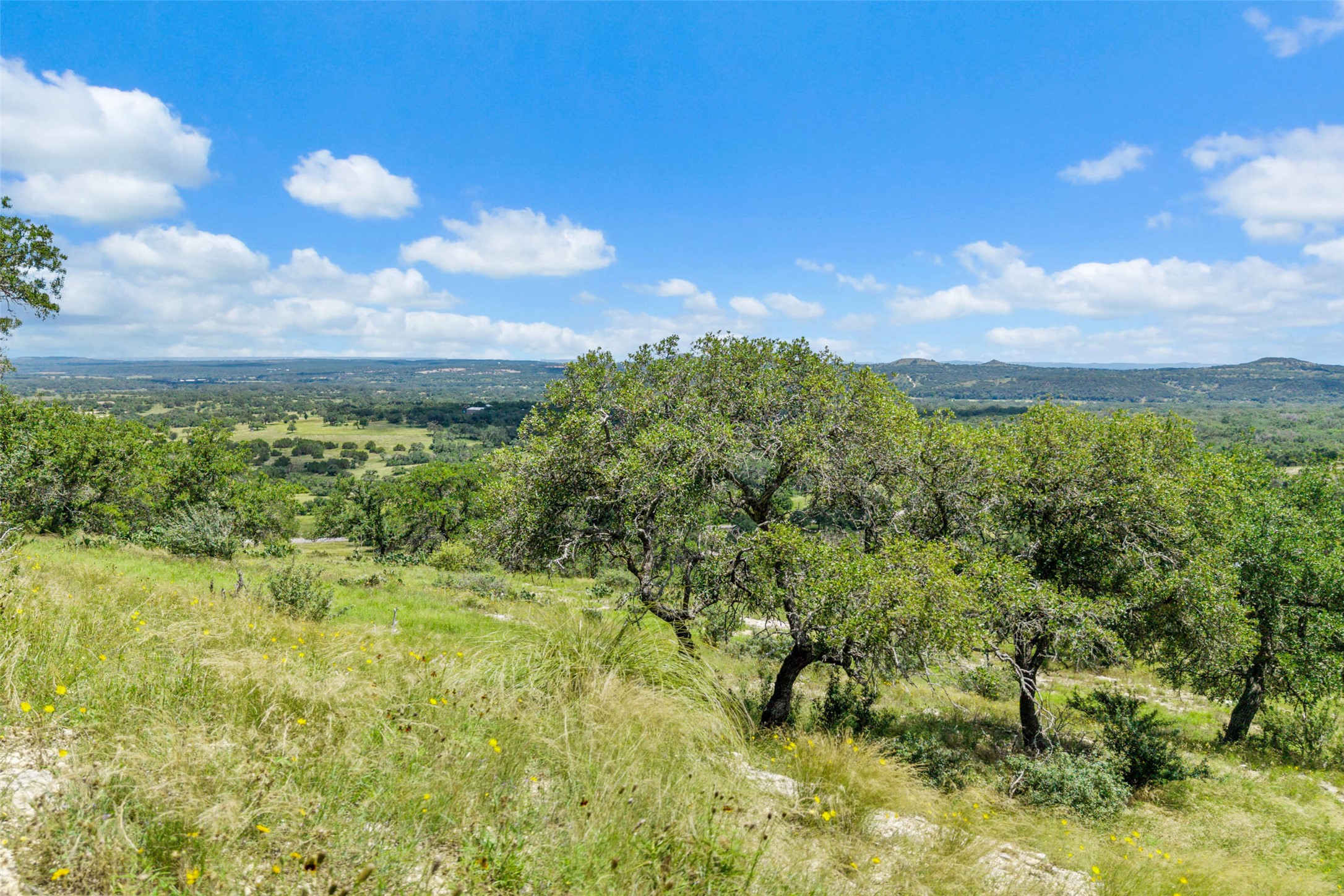 5032 Kendalia Road Blanco, TX 78606 - Photo 25 of 40 a view of a bunch of trees and houses