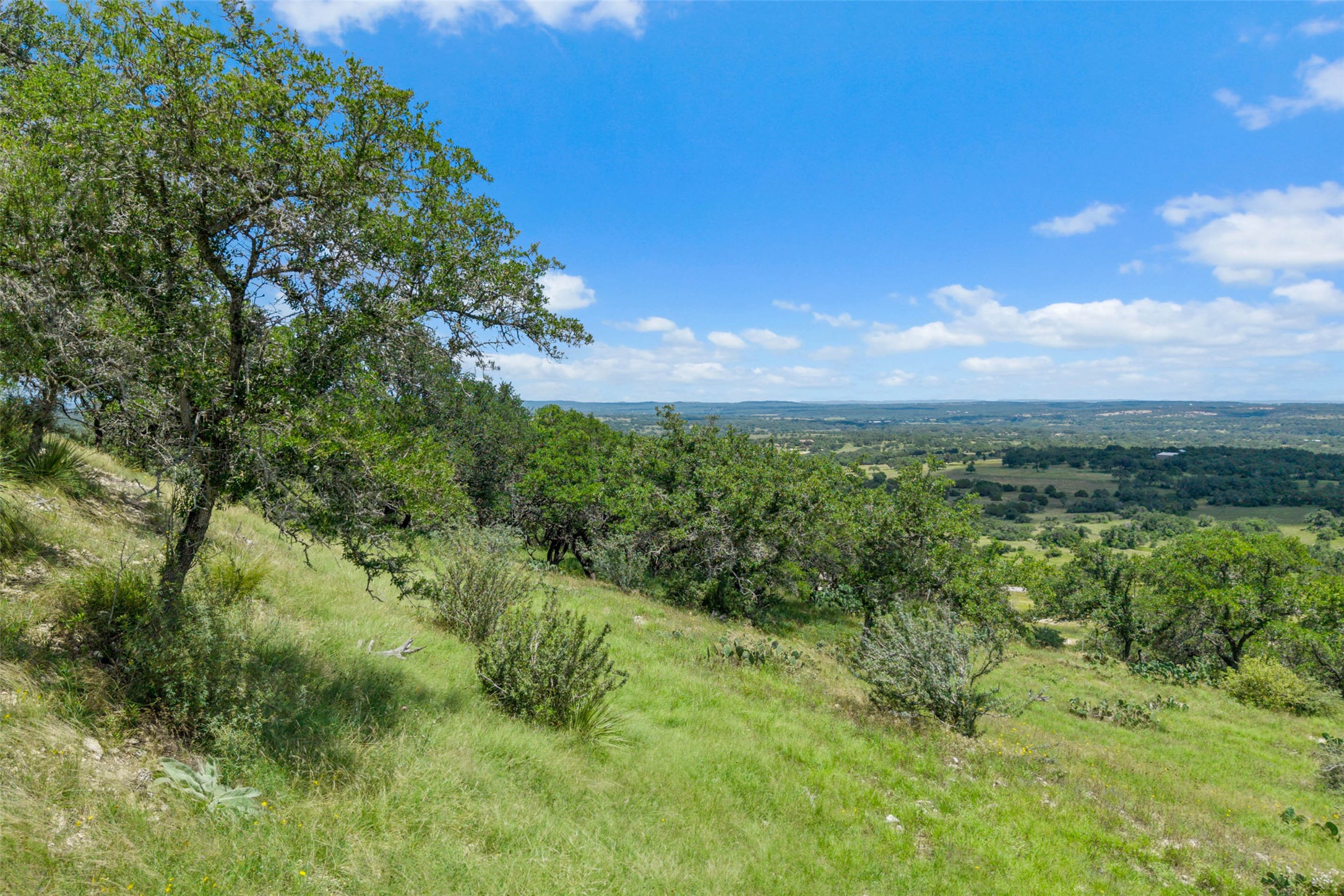 5032 Kendalia Road Blanco, TX 78606 - Photo 26 of 40 a view of a green field