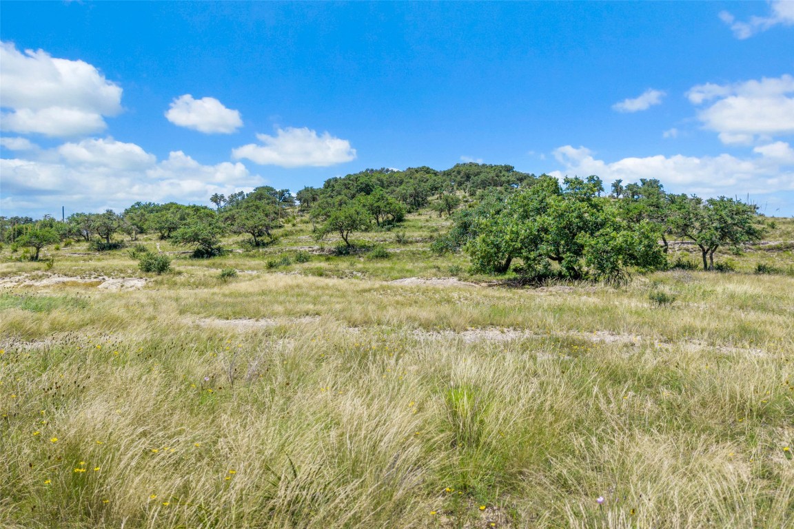 5434 Kendalia Road Blanco, TX 78606 - Photo 3 of 40 a view of a field of grass and trees
