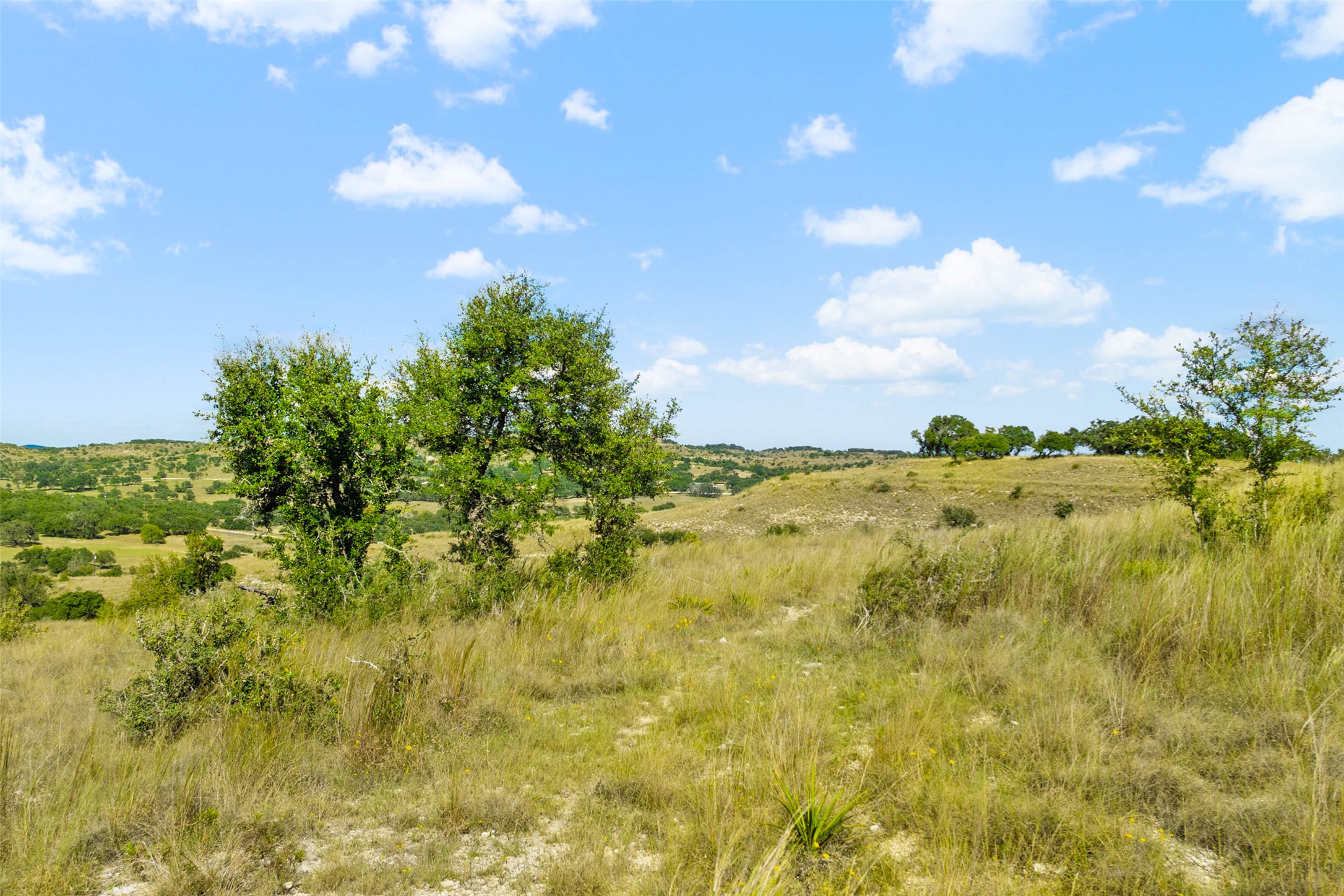 5032 Kendalia Road Blanco, TX 78606 - Photo 38 of 40 a view of a bunch of trees and bushes
