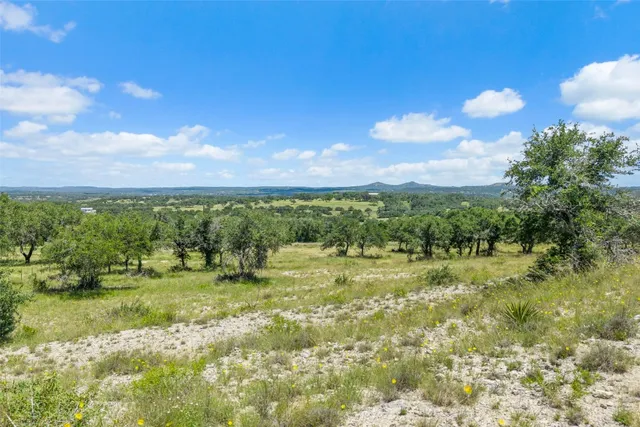 a view of a field of grass and trees