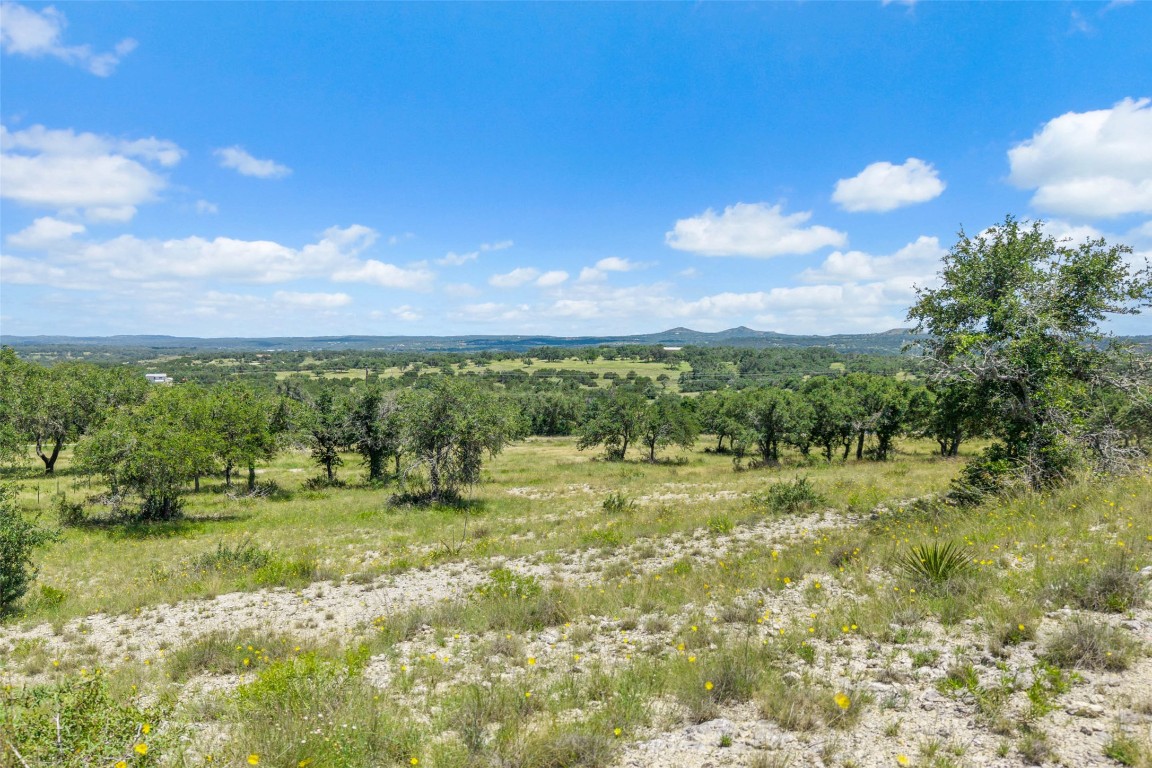 5434 Kendalia Road Blanco, TX 78606 - Photo 6 of 40 a view of a yard with an outdoor space and seating