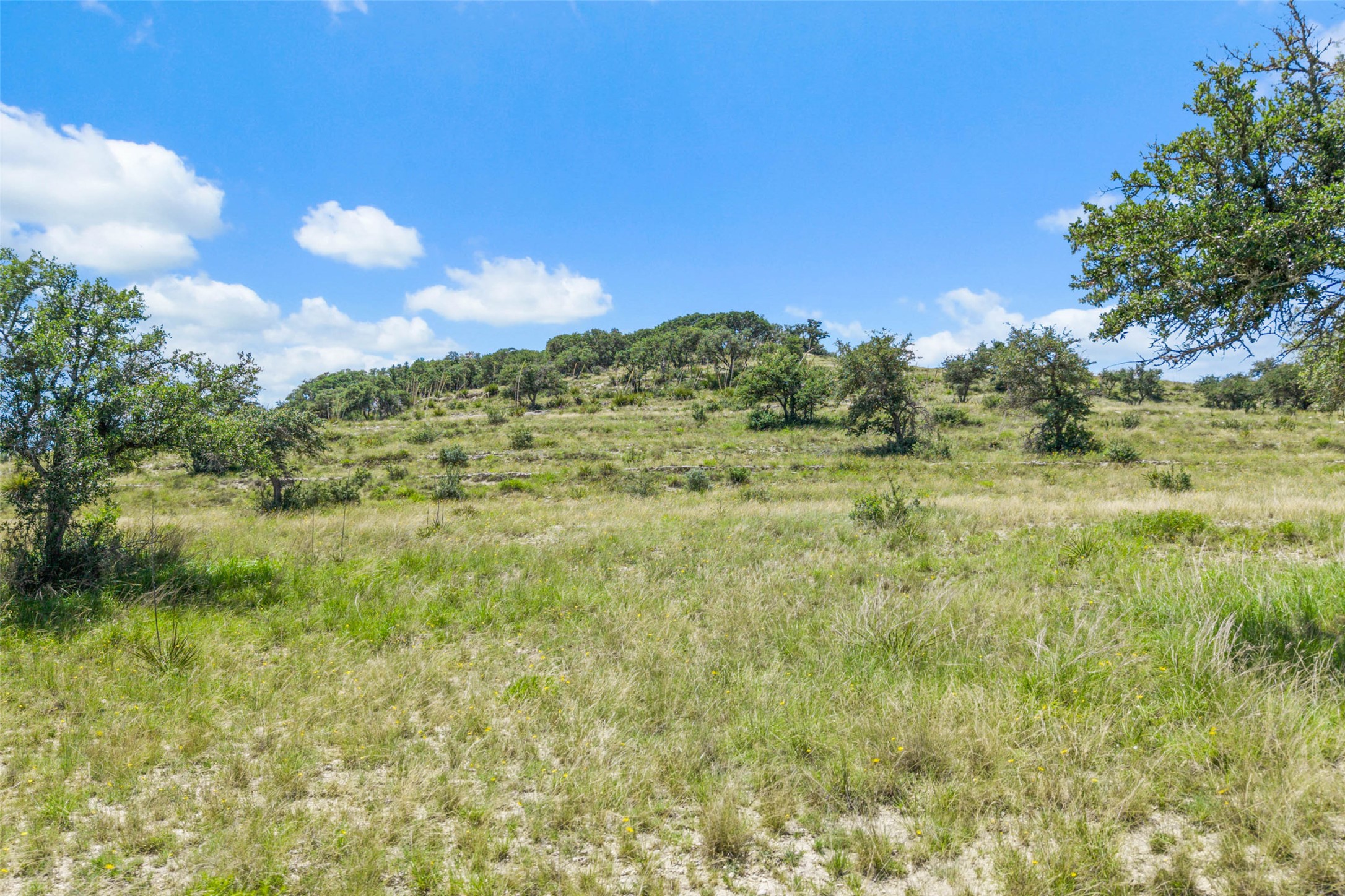 5032 Kendalia Road Blanco, TX 78606 - Photo 8 of 40 a view of a big yard with large trees