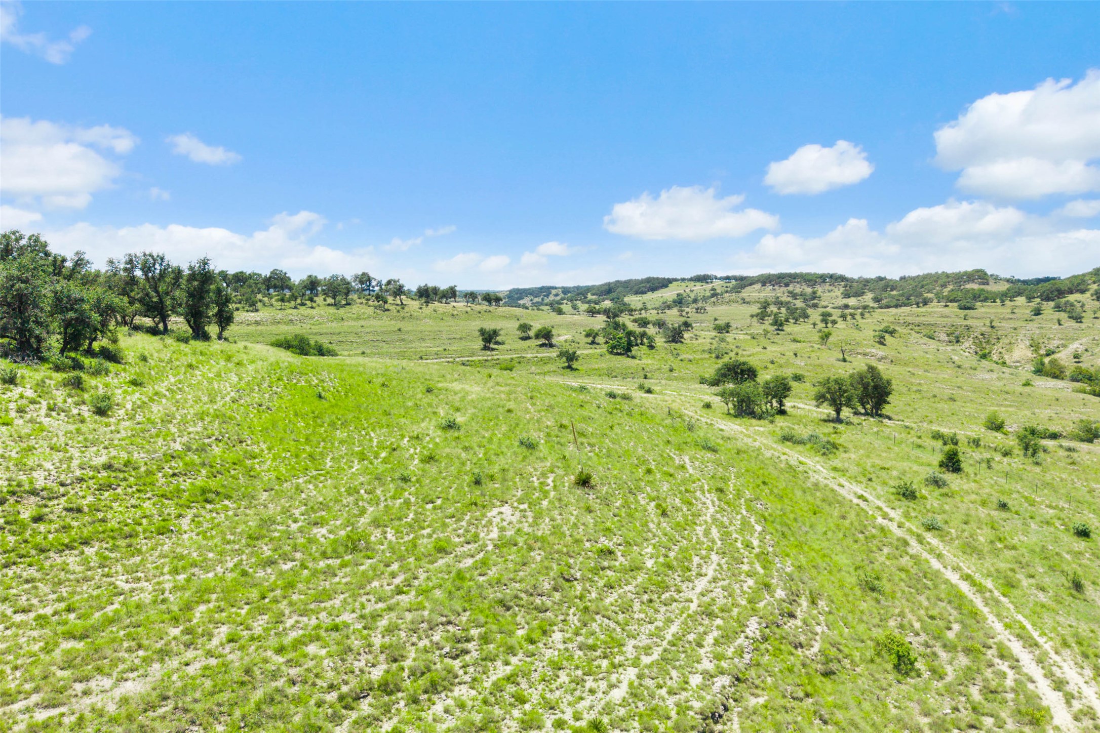 5032 Kendalia Road Blanco, TX 78606 - Photo 10 of 40 a view of a green field