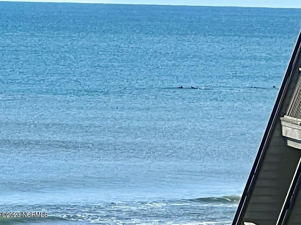 545 Salter Path Road, Unit L5 Pine Knoll Shores, NC 28512 - Photo 52 of 54 View of dolphins playing from the balcony