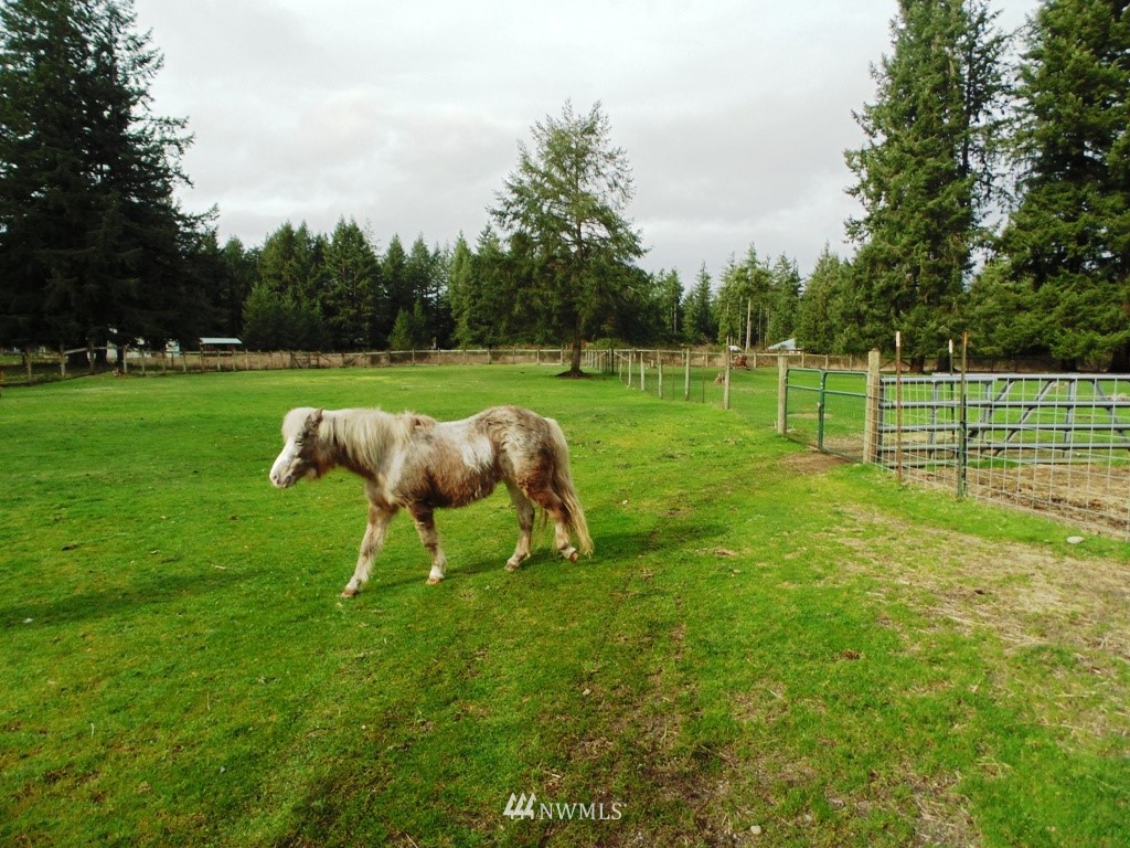 16839 Littlerock Road Southwest Rochester, WA 98579 - Photo 16 of 25