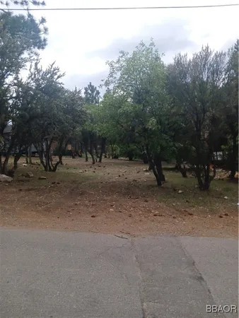 a view of dirt yard with trees