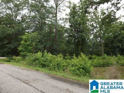 0 Perseverance Lane Odenville, AL 35120 - Photo 12 of 13