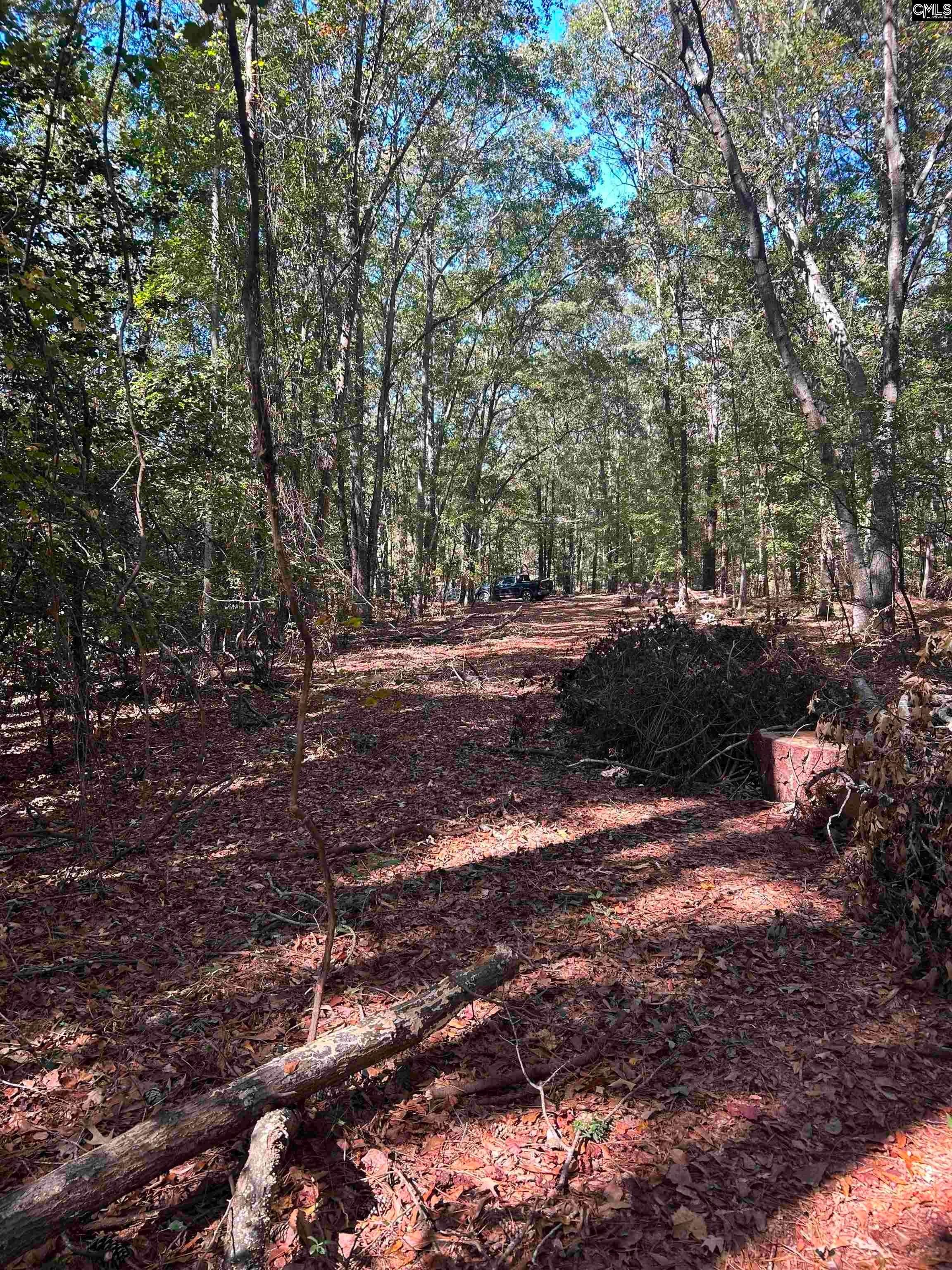 0 Swamp Rabbit Road Leesville, SC 29070 - Photo 5 of 55 Gallery Image 5