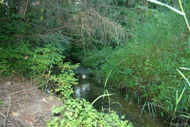 4791 Inkster Road Bloomfield Hills, MI 48302 - Photo 18 of 23 MEANDERING STREAM THRU PROPERTY