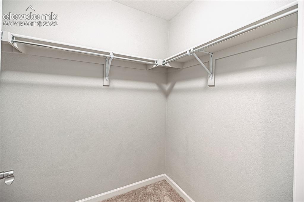 1306 Promontory Bluff View Colorado Springs, CO 80921 - Photo 23 of 39