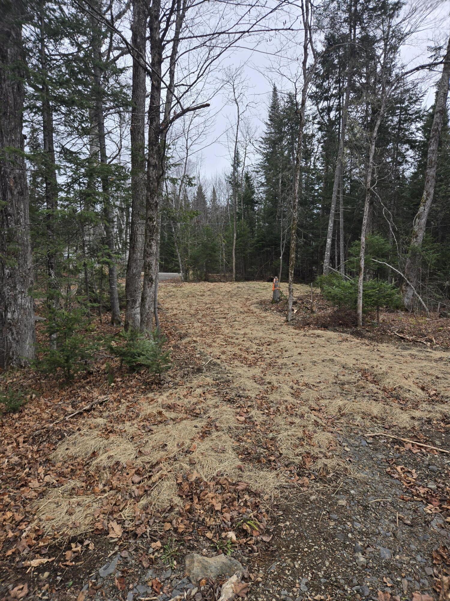 469 East Cottage Road Portage, ME 04768 - Photo 8 of 63 20241120_100130
