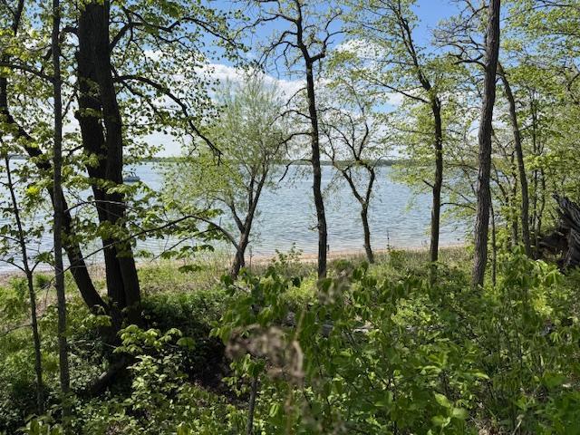 2 Pilgrim Point Alexandria, MN 56308 - Photo 4 of 28