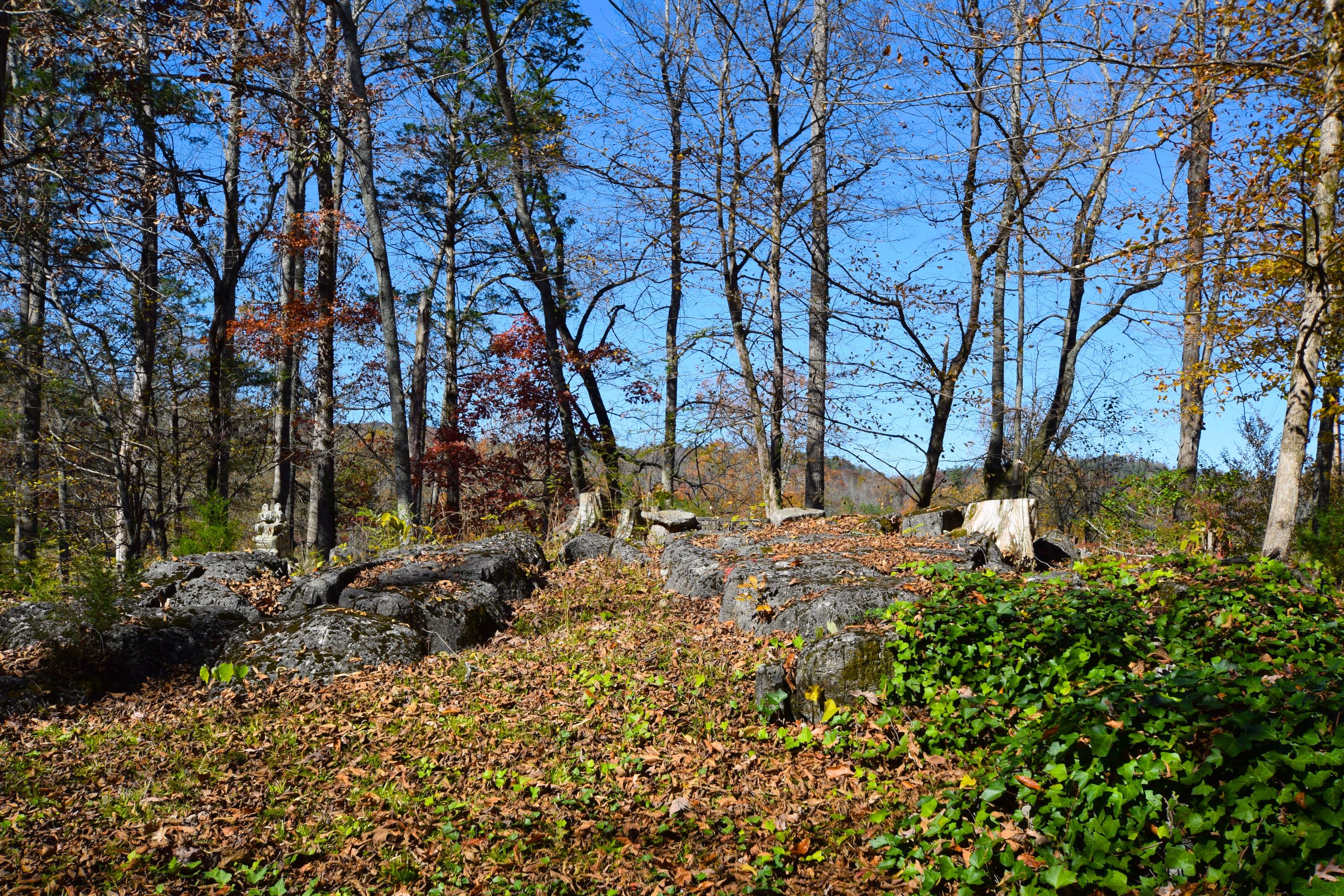 281 Laurel Road Townsend, TN 37882 - Photo 27 of 28 DSC_0028