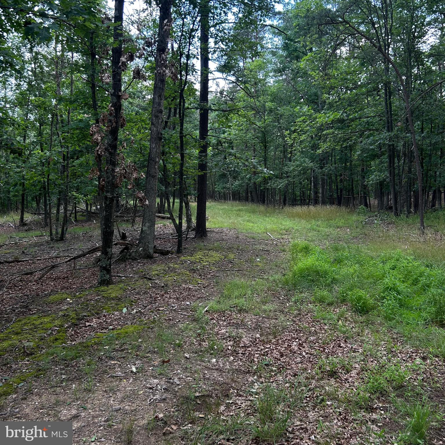 0 Headsville Road Keyser, WV 26726 - Photo 45 of 46