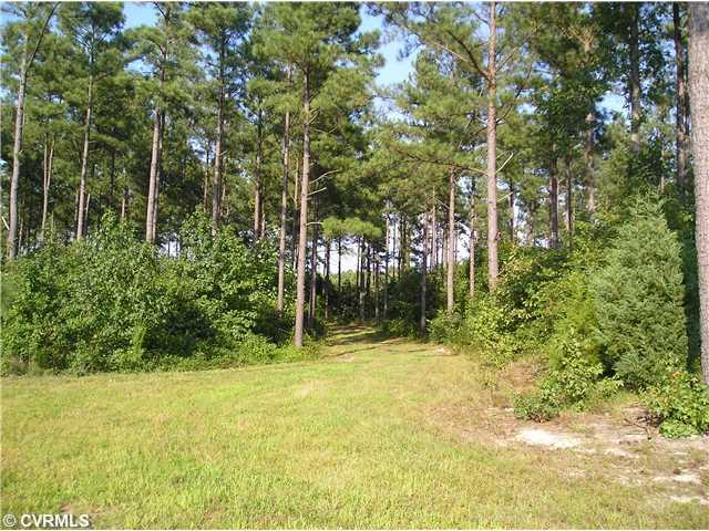 21164 Courthouse Road Yale, VA 23897 - Photo 1 of 2 Exterior Front - One of the smaller fields and trees in the background, great place for a home site