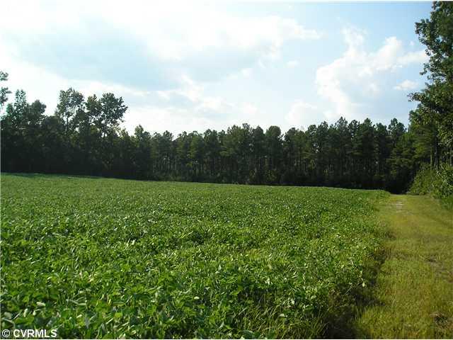21164 Courthouse Road Yale, VA 23897 - Photo 2 of 2 Gallery Image 2