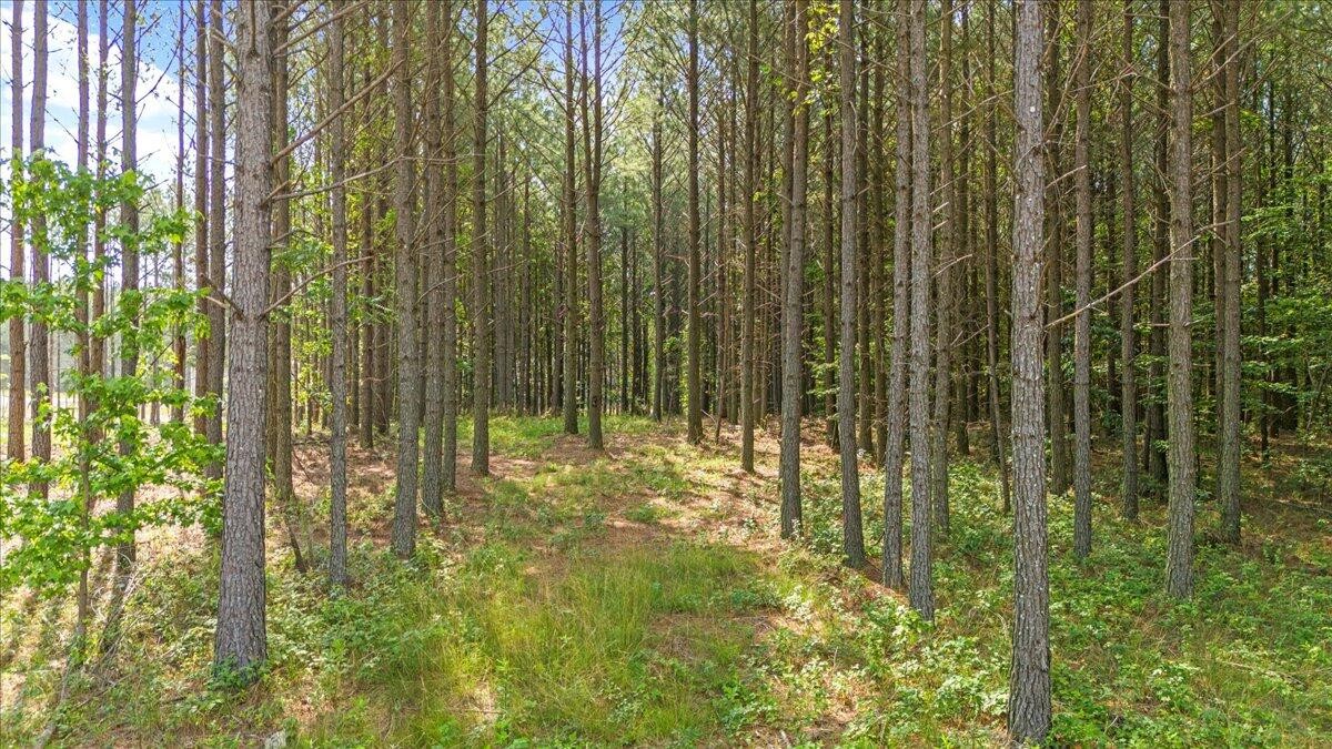 0 Serenity Way Guild, TN 37340 - Photo 2 of 16 Gallery Image 2
