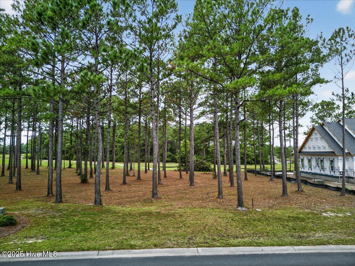 6267 Castlebrook Way Southwest Ocean Isle Beach, NC 28469 - Photo 4 of 19 02-https---www