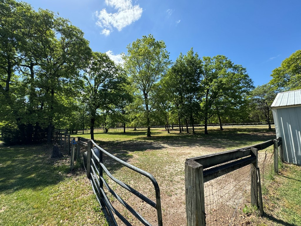 1397 Pine Road Camden, SC 29020 - Photo 32 of 34