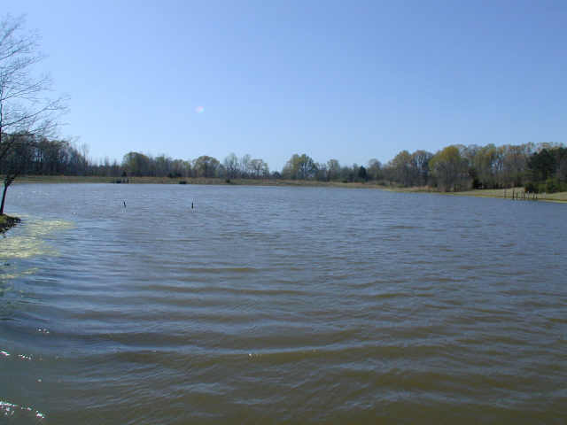 2 Billy Bryant Road Collierville, TN 38017 - Photo 4 of 5 Gallery Image 4