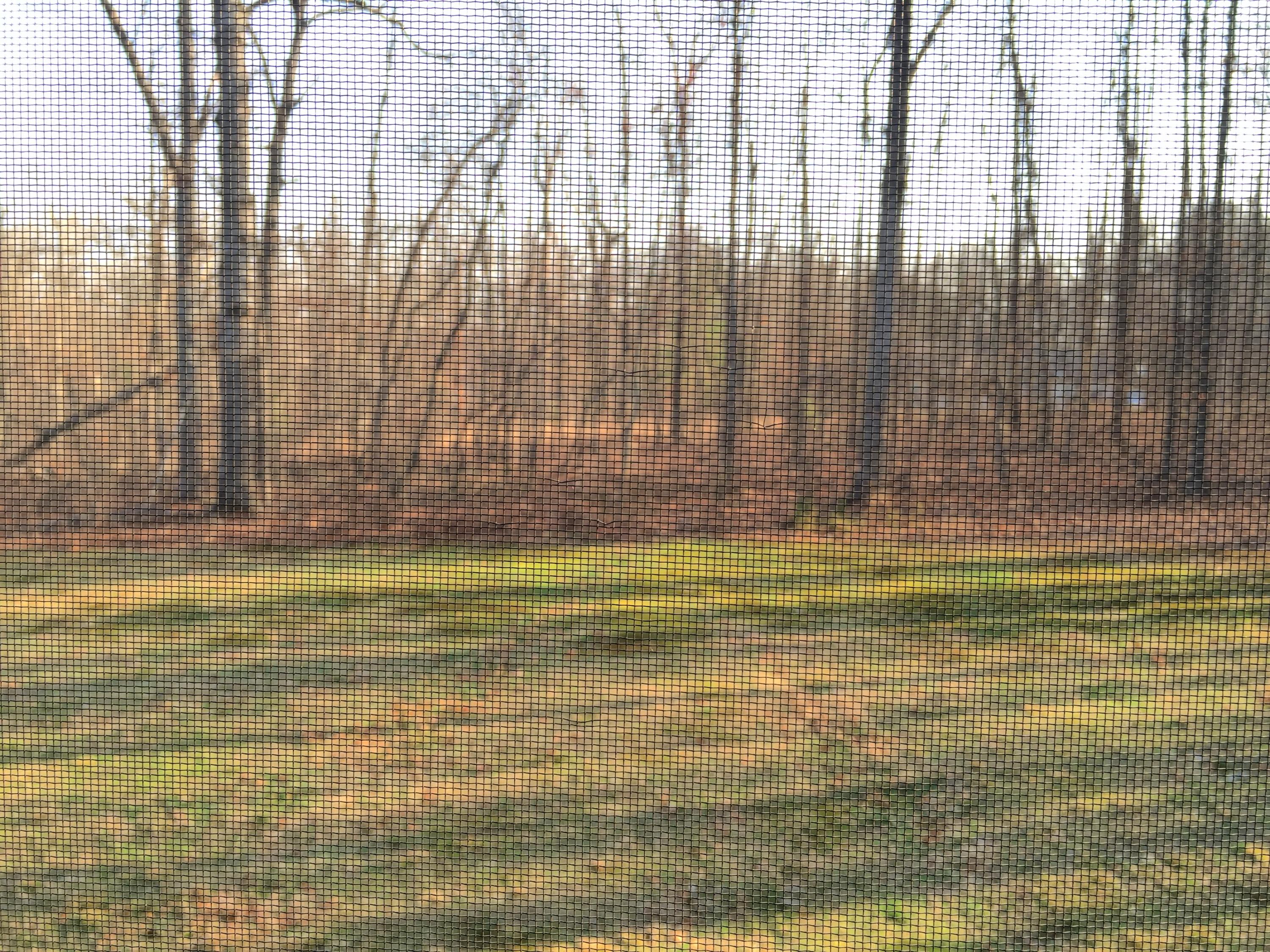 5312 Pawnee Road Crossville, TN 38572 - Photo 12 of 17 image