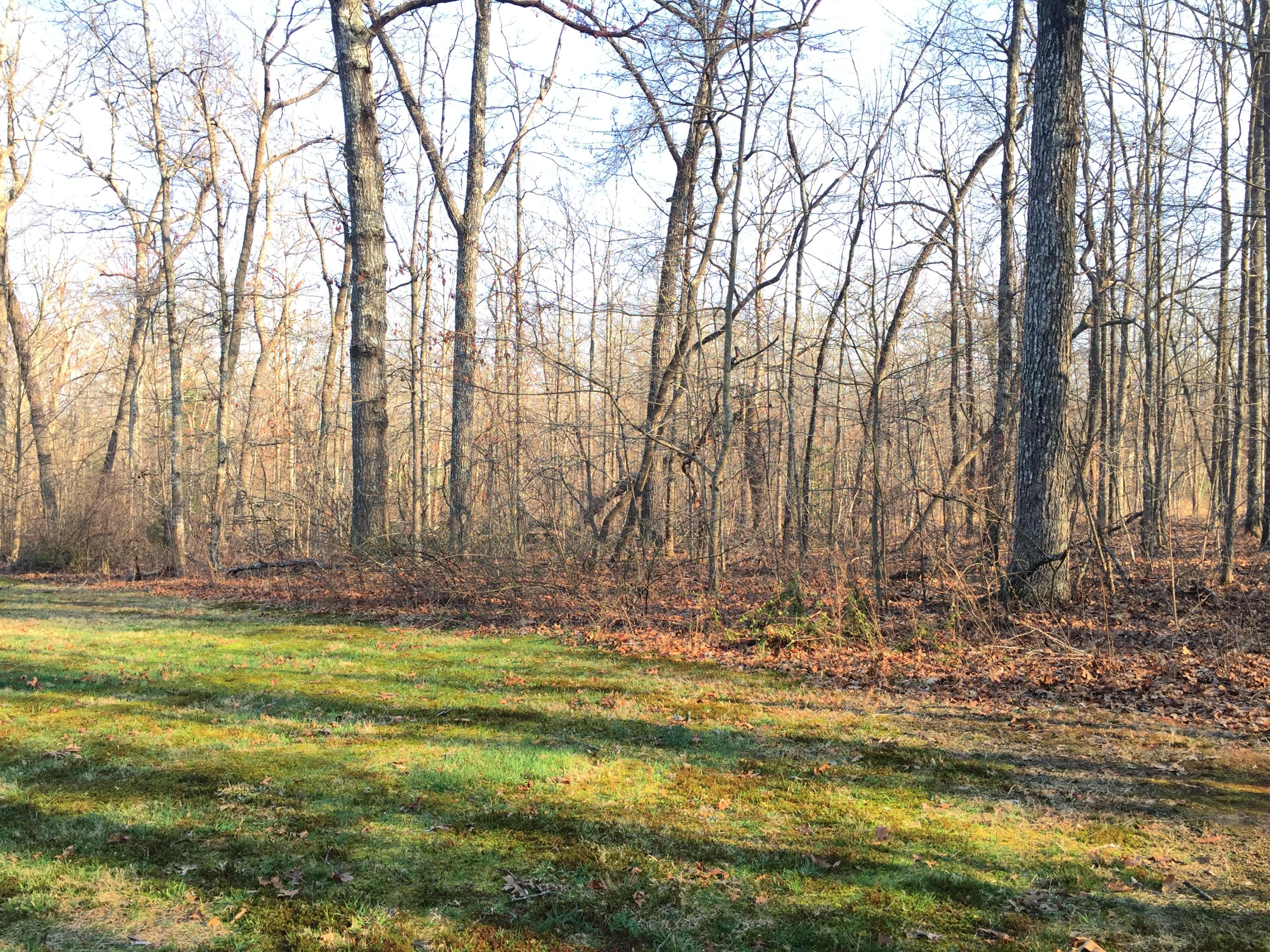 5312 Pawnee Road Crossville, TN 38572 - Photo 15 of 17 image