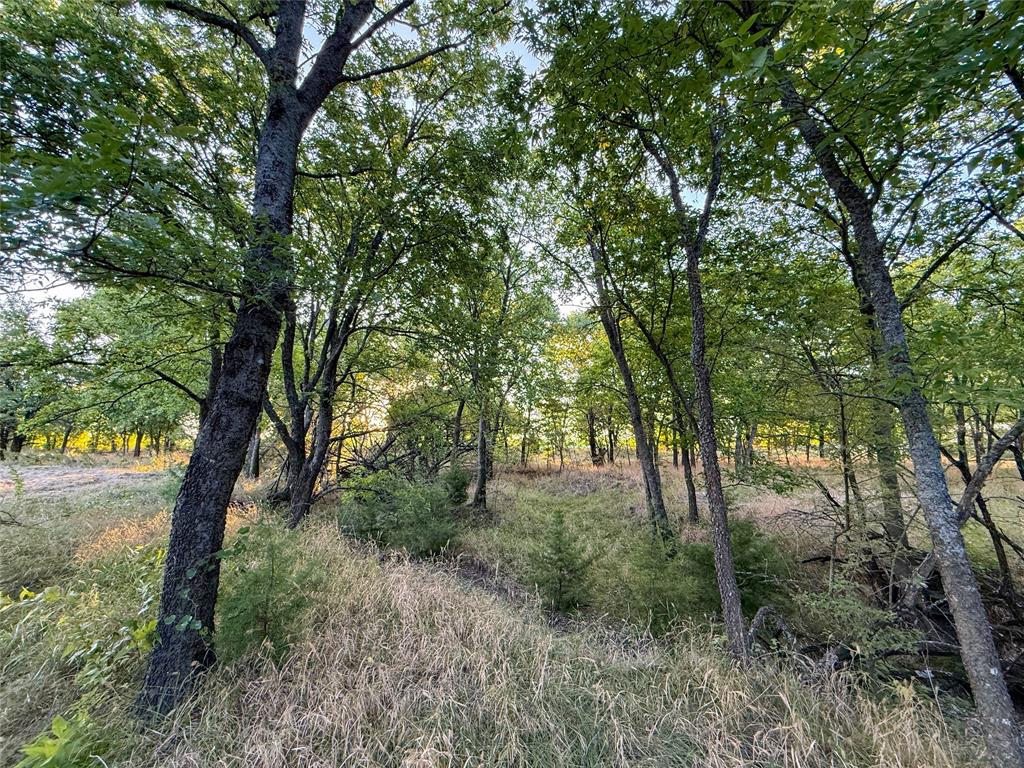 Tbd Hazelwood Road Sherman, TX 75092 - Photo 28 of 29 Gallery Image 28