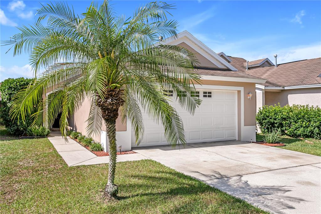 28612 Seashell Court Wesley Chapel, FL 33545 - Photo 1 of 1