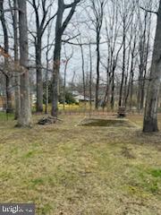 6810 Robinia Road Temple Hills, MD 20748 - Photo 24 of 24 Backyard/Lot
