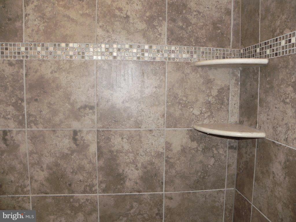 10422 Windlass Run Road Baltimore, MD 21220 - Photo 19 of 30 a bathroom with a shower