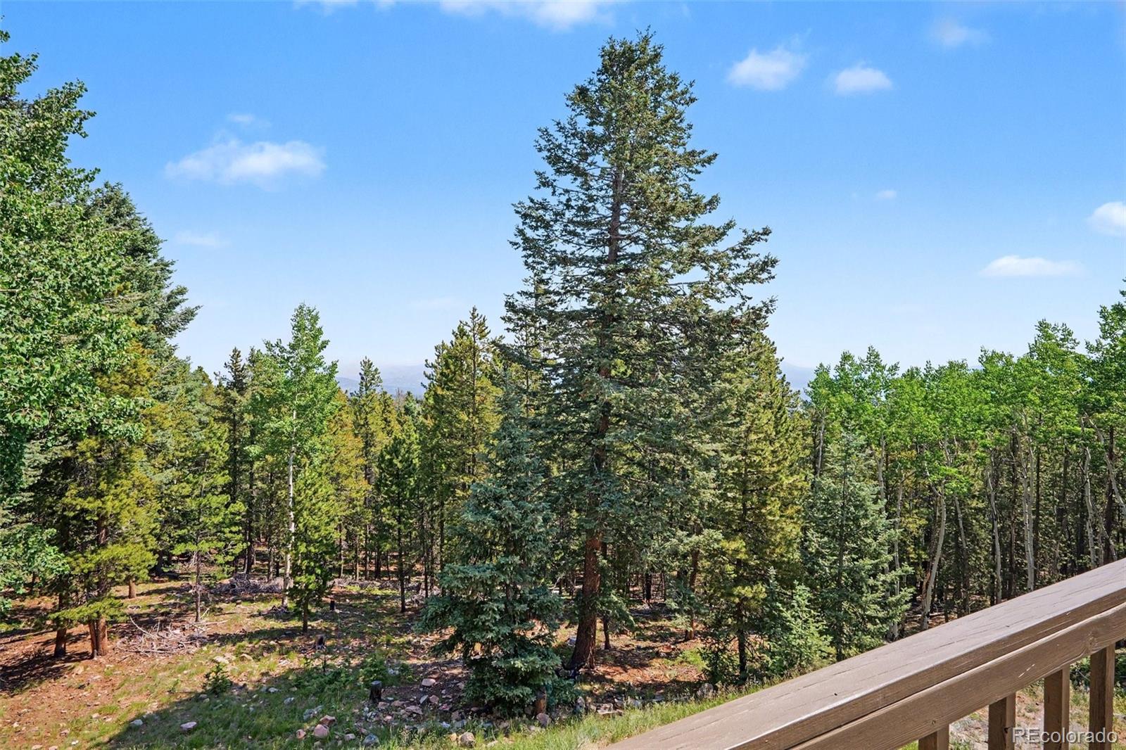 10742 Timothys Road Conifer, CO 80433 - Photo 41 of 50