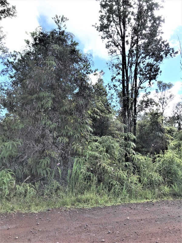 8528 South Apele Road Mountain View, HI 96771 - Photo 4 of 4 Gallery Image 4