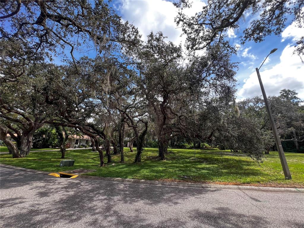 0 Tampa Road Palm Harbor, FL 34684 - Photo 2 of 4