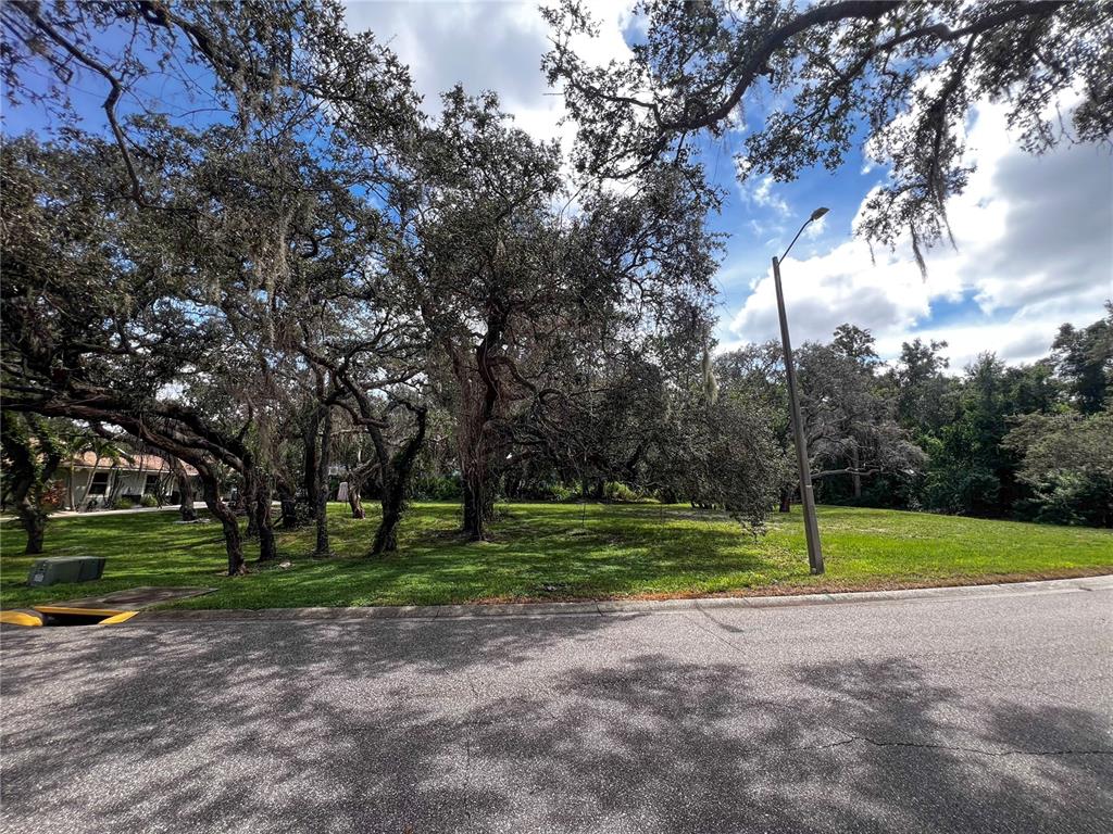 0 Tampa Road Palm Harbor, FL 34684 - Photo 3 of 4