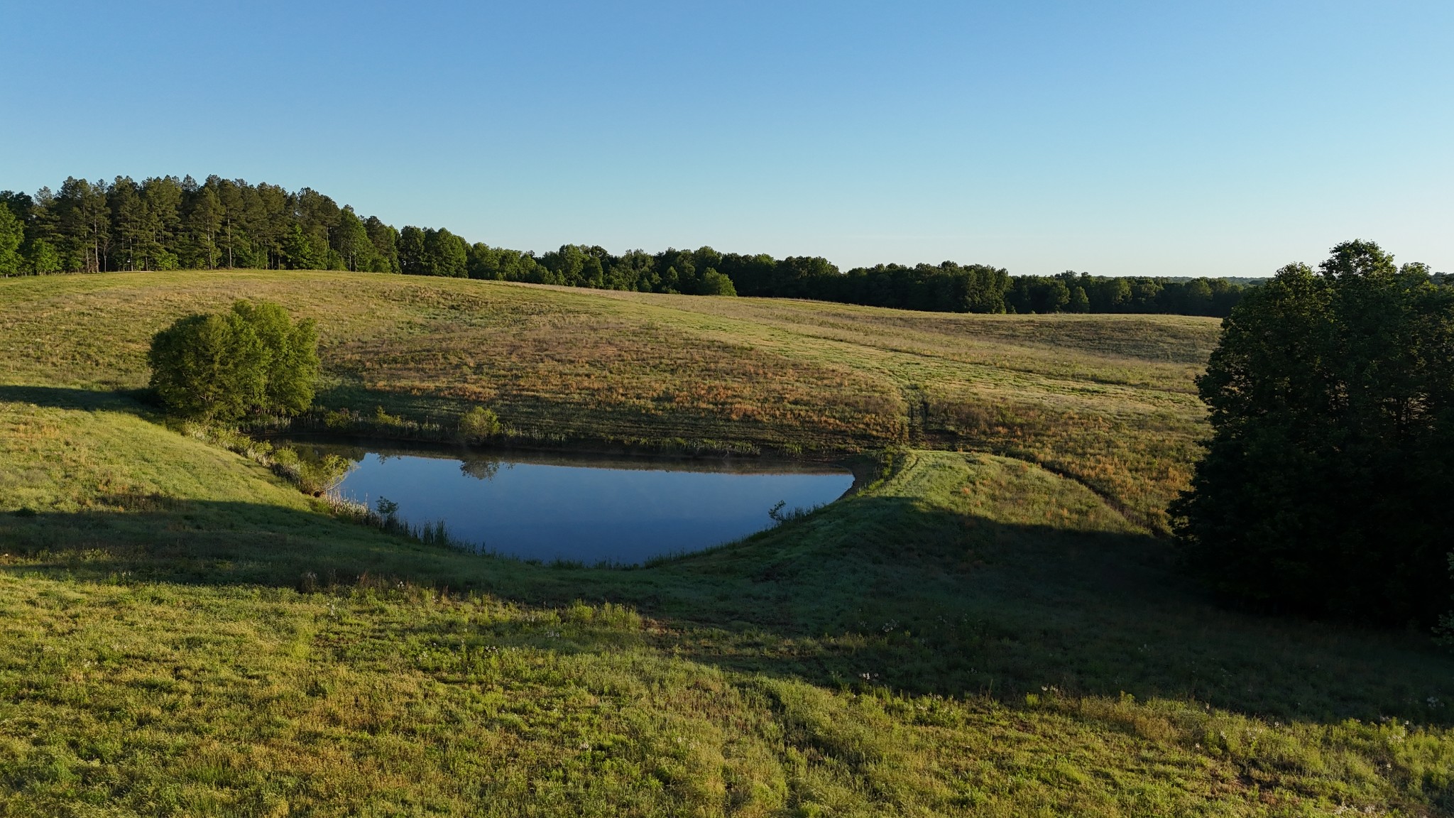0 Seven 7 Mile Ridge Road Indian Mound, TN 37079 - Photo 23 of 27