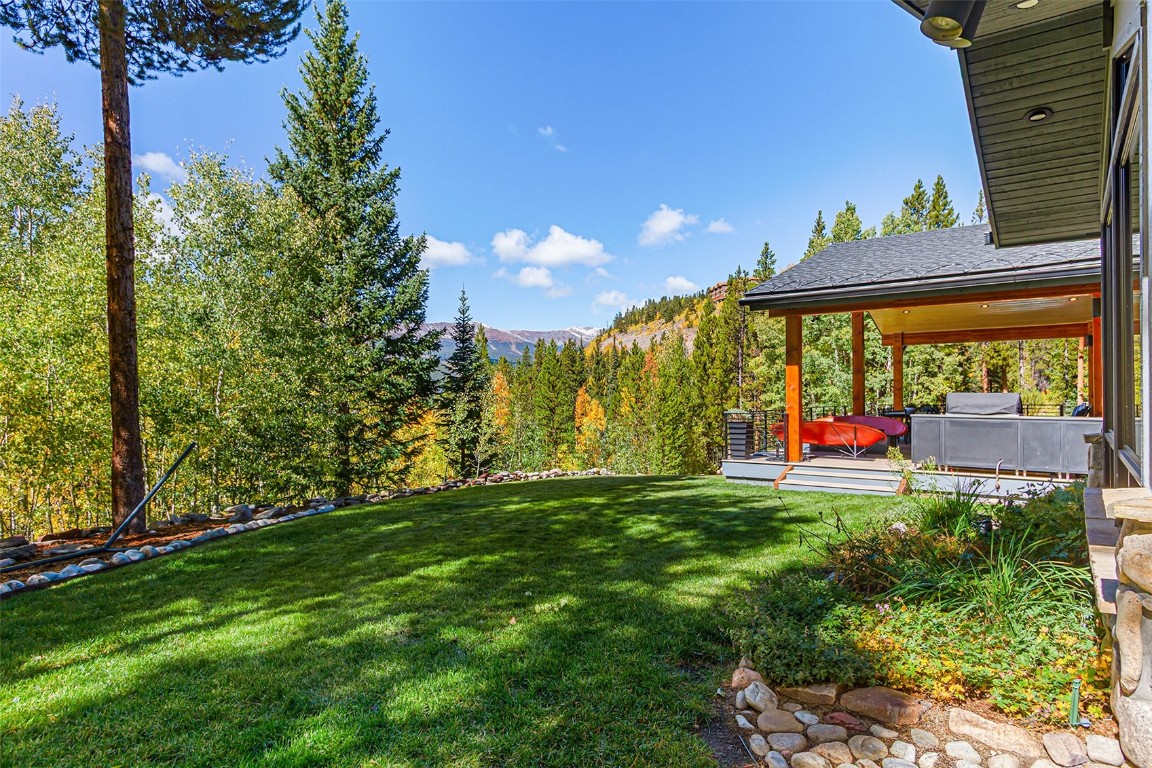 1031 Boreas Pass Road Breckenridge, CO 80424 - Photo 47 of 49 a view of a back yard