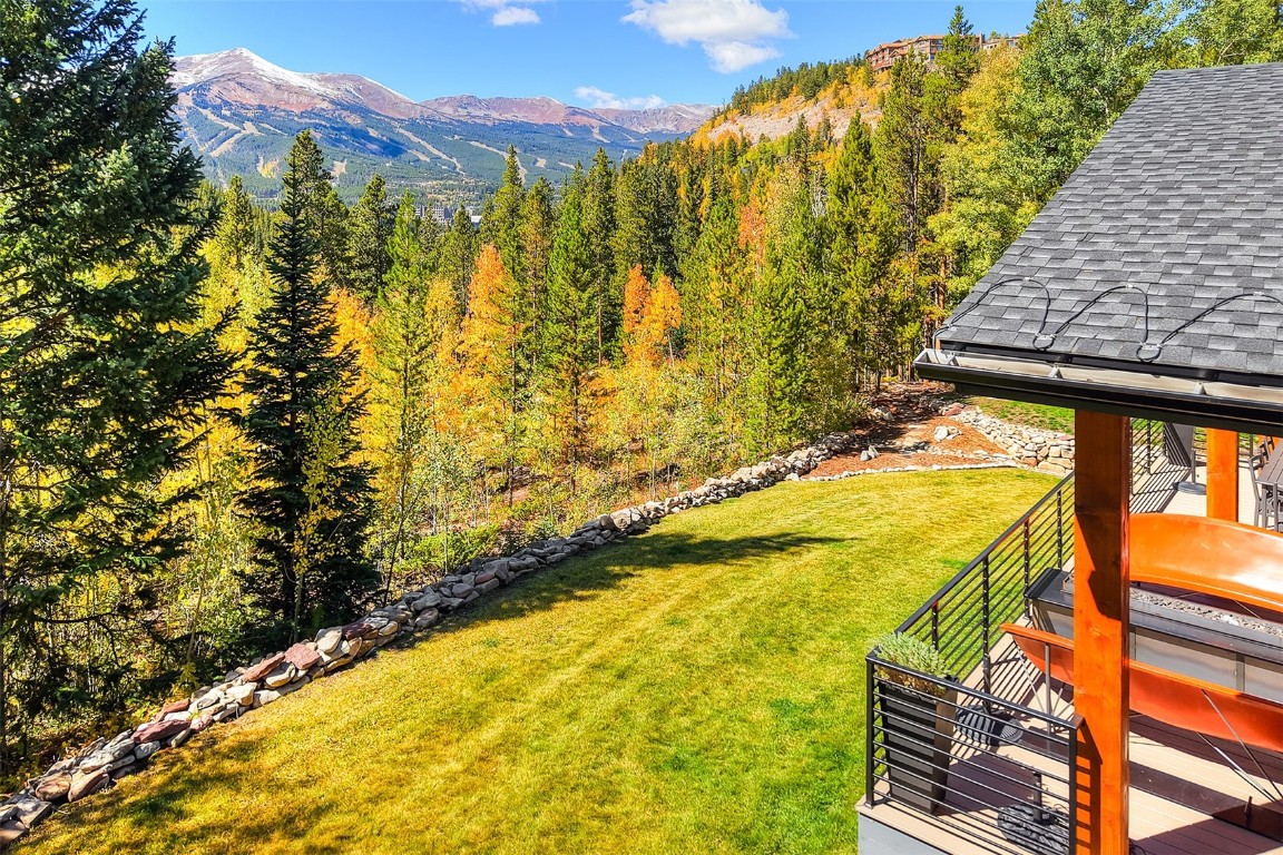 1031 Boreas Pass Road Breckenridge, CO 80424 - Photo 10 of 49 a view of an outdoor space and a yard