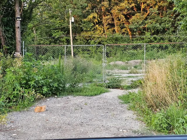 a view of a water pond with green yard