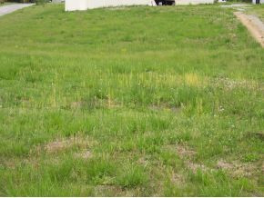1340 Carters Valley Road, Unit 13 Mosheim, TN 37818 - Photo 1 of 2 Photo 1