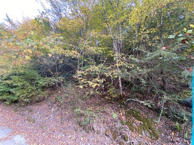 398 Ball Hollow Road Cosby, TN 37722 - Photo 2 of 7