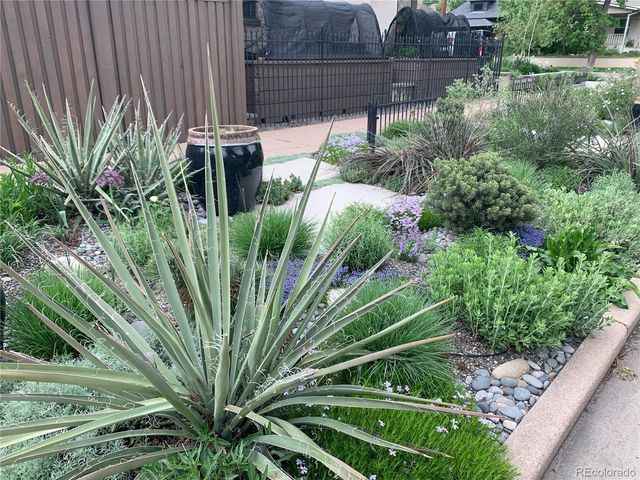 a view of a garden with plants