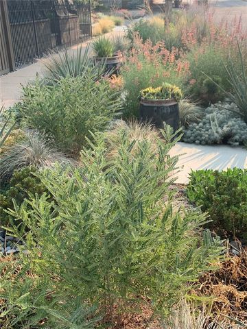 a view of a lake with a fountain