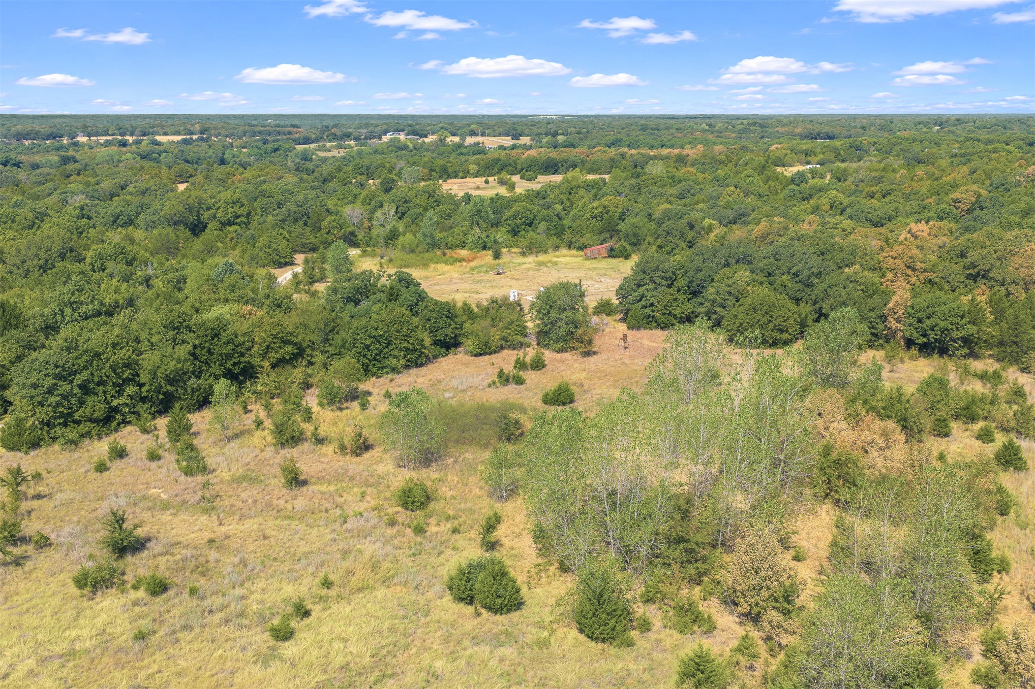 23922 Pickens Road Madill, OK 73446 - Photo 3 of 19 Expansive acreage featuring mature trees, open clearings, and varied natural landscaping